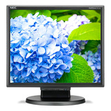 Monitor Lcd Nec E172m-bk 17 Clase Sxga En Negro