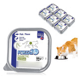 Alimento Para Gatos Diabeticos Para Apoyo Y Control Diabetic