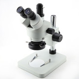 Microscopio Estereoscópico Con Zoom De Aumento Trinocular Wf