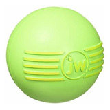 Pelota Chillona Para Perros Jw Pet, Grande