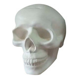 Artesania Skull Calavera/ Cráneo Alcancía En Cerámica