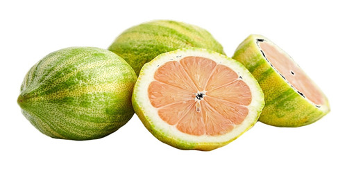 Limon Rosa  Citrus X Limon Eureka Var. Variegata