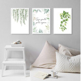 Kit 3 Quadros Decorativos Seja Grato - Plantas 33x24cm Vidro