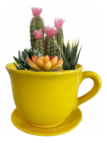 Maceta En Forma De Taza Amarilla Minimalista Cactus Jardín 