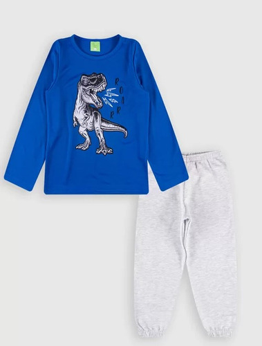 Conjunto Infantil Juvenil Blusa Capuz Estampa Frio Menino