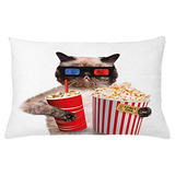 Sala De Cine Gato Fundas De Colchón Almohada De Tiro P...