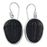 Aretes Colgantes Fossil Trilobite En Plata De Ley