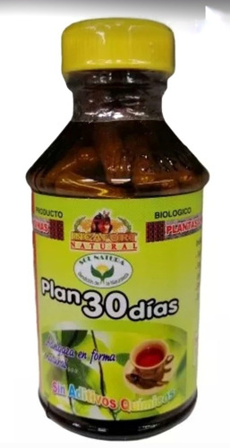 Pack 3 Frascos Plan 30 Dias 100 Capsulas Té Guarani