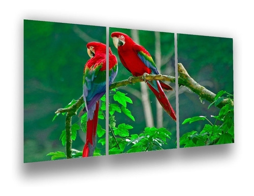 Quadros Decoração Paisagem Vermelho Arara Papagaio