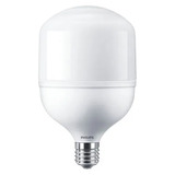 Lampara Led Philips Galponera 40w E27 Luz Dia/fria E631