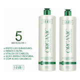 2 Semi Definitiva Roffe Orgânic Extremoliss Perfeito 1l Cada