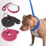 Guia Para Cachorro Pit Monster Inox Enforcador