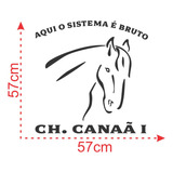 Adesivo Cavalo 57x57 Horse Sistema Bruto Personalizado