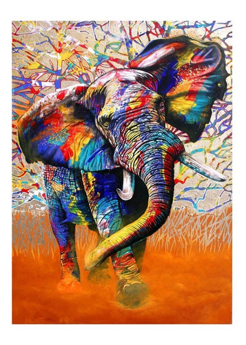 Cuadro Colorido Elefante 