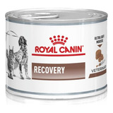 Comida Royal Canin Recovery Para Perro / Gato 195gs