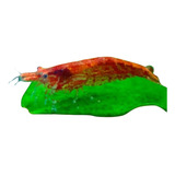 Neocaridina Red Cherry 5 Unidades Gambas De Agua Dulce