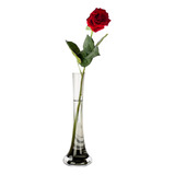 Florero De Vidrio Alto Angosto Base Ancha 40 Cms