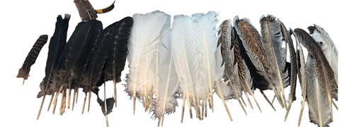 Plumas Para Penacho (24 Piezas)