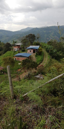 Se Vende Finca Con Dos Casas, Salamina, Caldas.