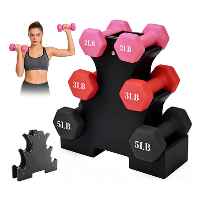 Set Pesas Mancuernas 20lb Vinil Con Rack Soporte | Envío gratis