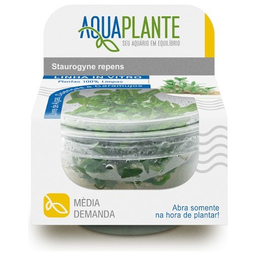 Enfeite Para Aquário Aquaplante Lv.036 Plantas