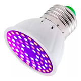 Bombillo Lampara Cultivo Planta Luz D Crecimiento 48led Grow