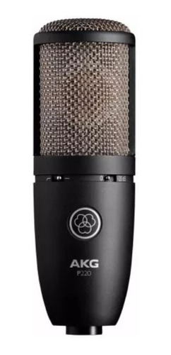 Akg P220 Micrófono De Condensador Estudio Estuche Araña