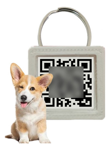 Medalla Identificatoria Con Qr Para Mascotas Bqr Buscaqr