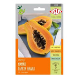 Sementes De Mamao Papaya Hawaii Env C/ 2.50gr De Sementes
