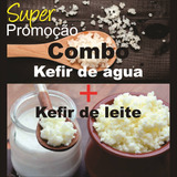 Kefir De Leite E Kefir De Água Com Frete Livre + Manual