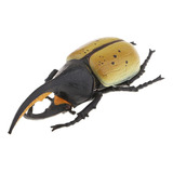 Colección De Animales Modelo De Juguete Reptil Insecto .