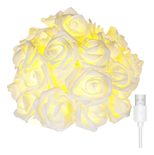 Cadena De Luz Decorativa Led Flor Rosa, 6m 40led Entrada Usb