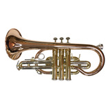 Cornet Sib Prodigious Cobre (novo)