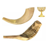 Shofar Chifre De Carneiro De Tocar + Brindes - De Israel