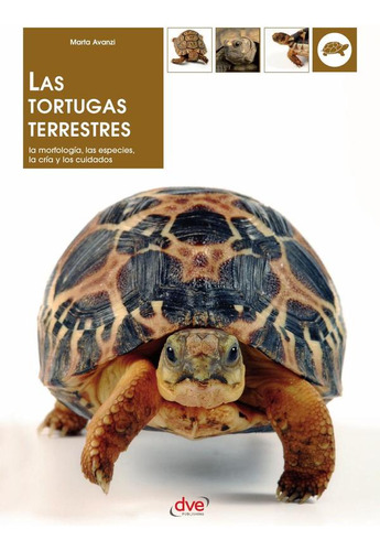 Las Tortugas Terrestres, De Marta Avanzi