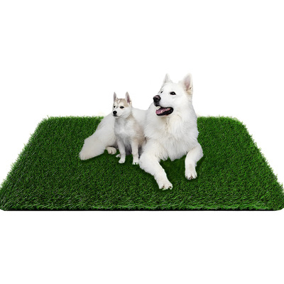 Tapete Entrenador Perro Sanitario Baño Mascotas 100 X 70cm