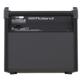 Monitor De Tambor Roland (pm-100)