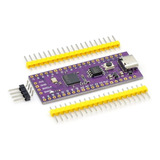 Raspberry Pi Placa Pico, Rp2040 Tipo-c  16 Mb Purpura