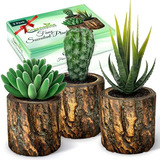 Plantas Suculentas Artificiales En Macetas Y Cactus