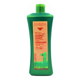 Salerm Biokera Shampoo Anticaida 1000ml