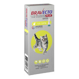 Bravecto Plus Gatos Antipulgas 112,5mg De 1,2 A 2,8kg Pipeta