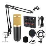 Microfono Condensador Profesional Usb Estudio Podcast Pop