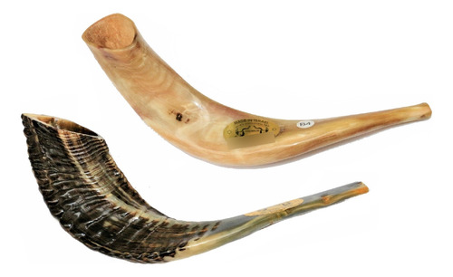 Shofar Chifre De Carneiro De Tocar - De Israel