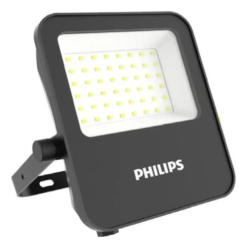 Reflector Led Exterior 20w Philips Blanco Frio 