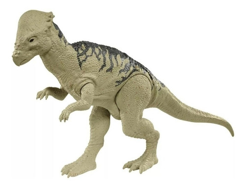 Figura De Acción  Pachycephalosaurus Fny43 De Mattel Basic