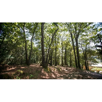 Se Vende Terreno En Jilotzingo | MercadoLibre