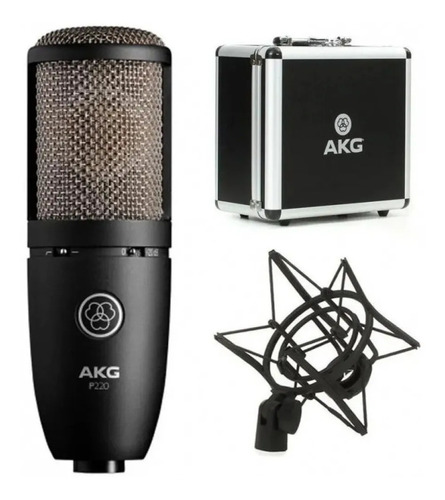 Microfono Condenser Akg Perception 220 Con Araña Y Estuche