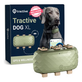 Rastreador Gps Tractive Xl Para Perros De Más De 23 Kg Con C