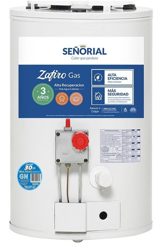 Termotanque Señorial 30 Litros A. R. - Envio Gratis Nacional