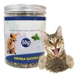 Catnip Hierba Gatuna Juguete Gatos Catnip Hierba Gato 50gr 